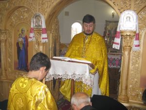 IMG_1242