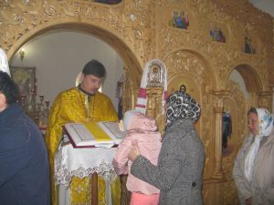 IMG_1246