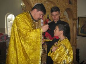 IMG_1251