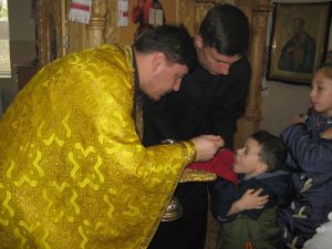 IMG_1253