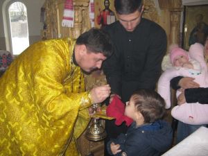 IMG_1546