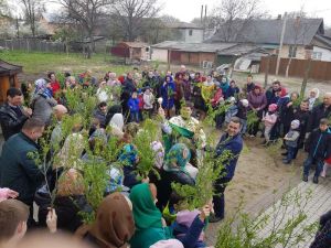 IMG-58f7a7f7812dcb0ddd880de004e4fede-V