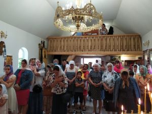 IMG-62fefc549c64464d9fba62d4f3e1ac9e-V