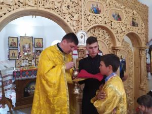 IMG-c5cad8e1110c653de5c748e24954c0e3-V