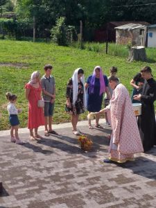 IMG-dd653eb64d6b6578d32ca977c0611d0f-V