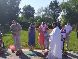 IMG-950db9118b51a74512877717046ce5bd-V
