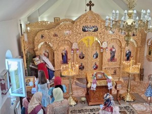 IMG-57d7a7bb8fa7cd35e892ccca611047da-V
